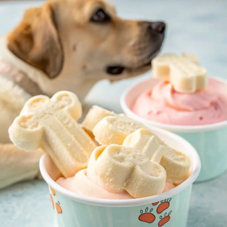 Easy Frozen Dog Treats with Yogurt