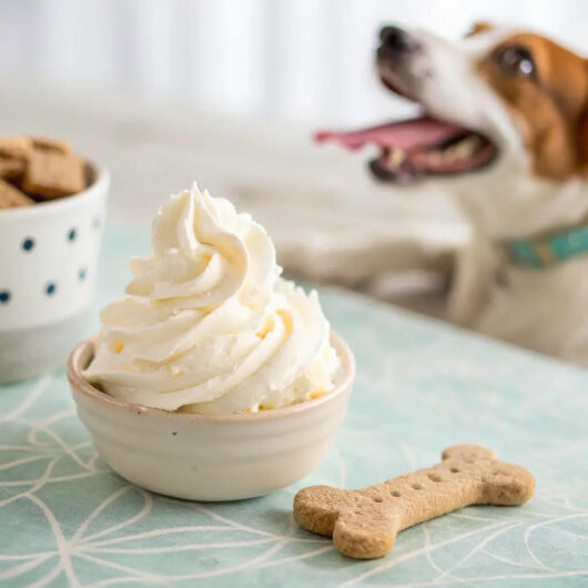 A closer look at Whipped Cream For Dogs With Apples