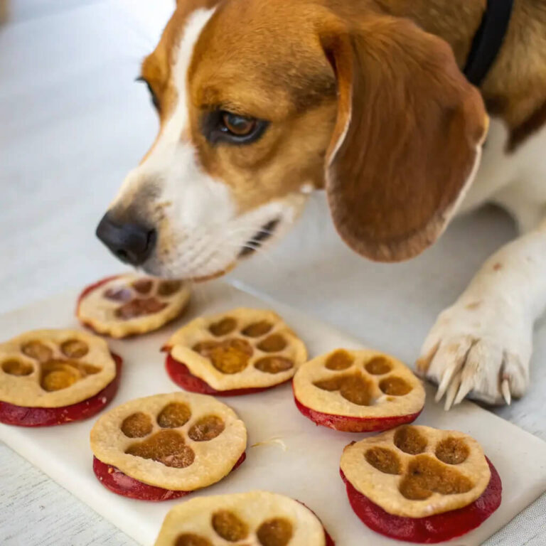 Air-Dried Apple & Peanut Butter Chips