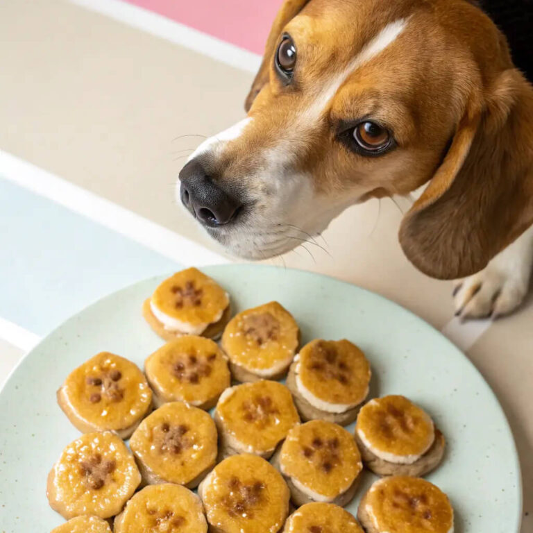 Air-Fried Peanut Butter & Banana Crisps