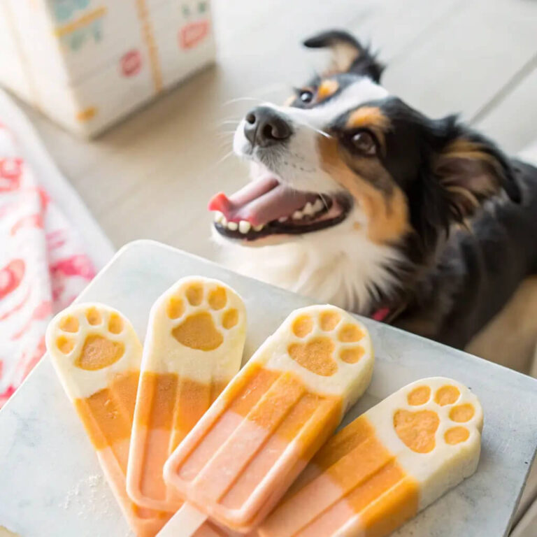 Carrot & Peanut Butter Frozen Pup Pops