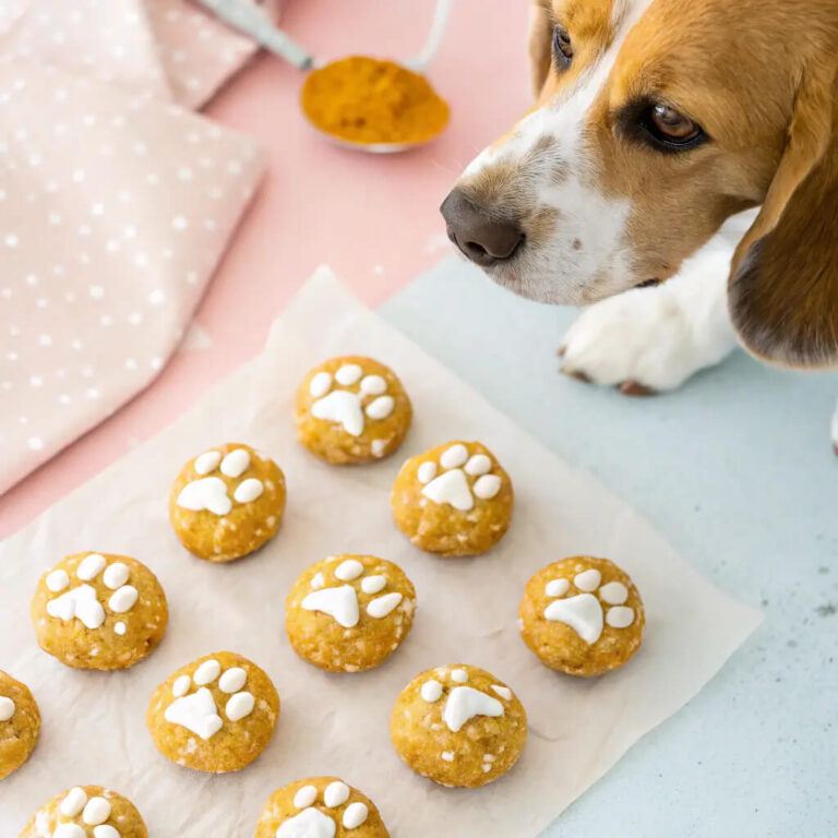 No-Bake Coconut & Pumpkin Spice Energy Bites