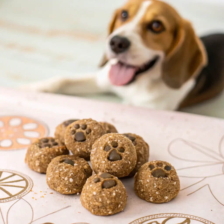 No-Bake Peanut Butter & Flaxseed Energy Bites