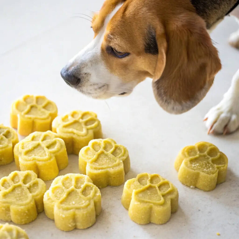 Frozen Dog Treats With Banana