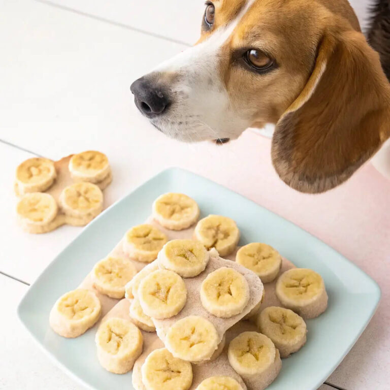 Homemade Banana Dog Treats