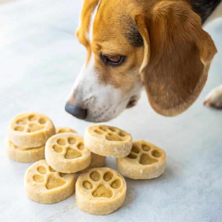 Homemade Banana Honey Dog Treats