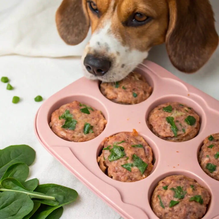 Turkey & Spinach Homemade Dog Meatloaf