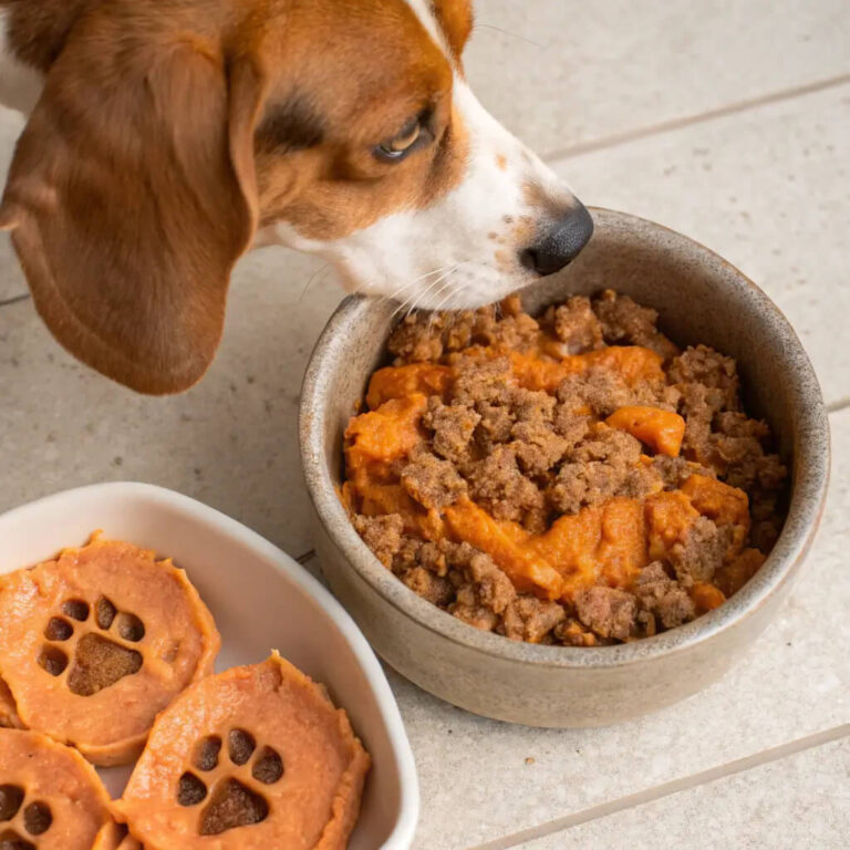 Homemade Beef And Sweet Potato Dog Food Recipe