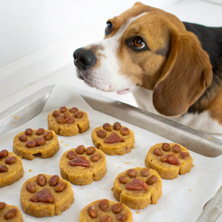 Homemade Sweet Potato And Bacon Dog Treats