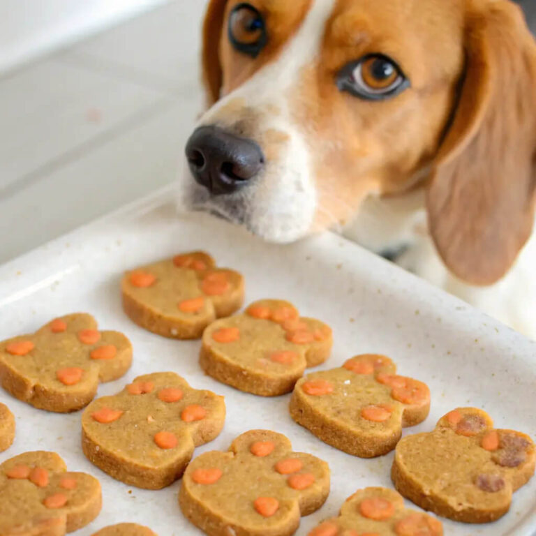 Homemade Sweet Potato Carrot Dog Treats Recipe