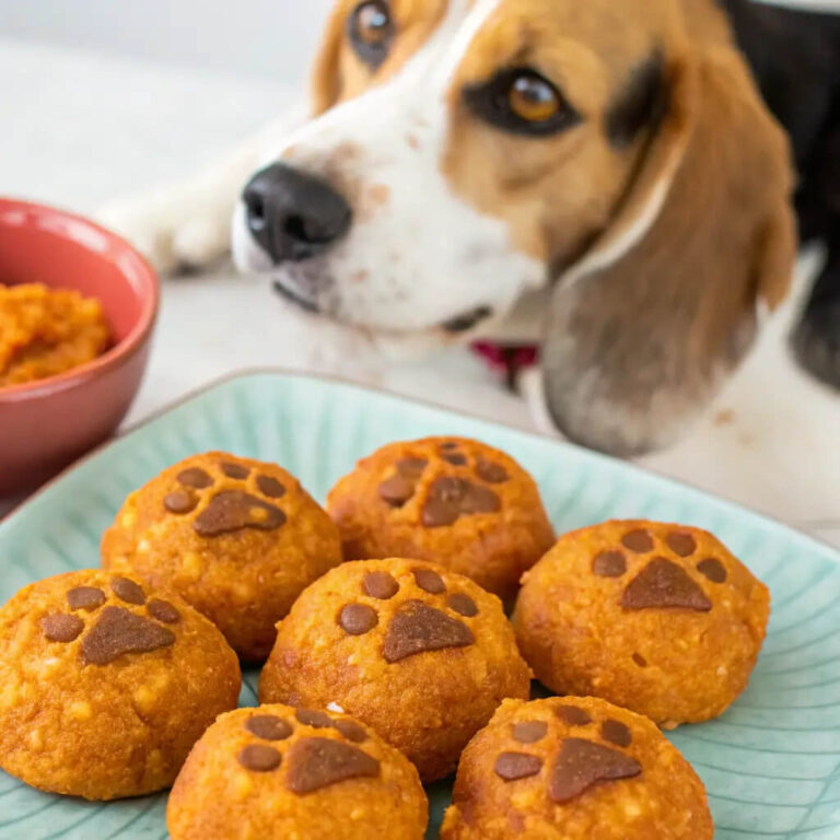 Air-Fried Salmon, Pumpkin & Cheddar Meatballs For Dogs