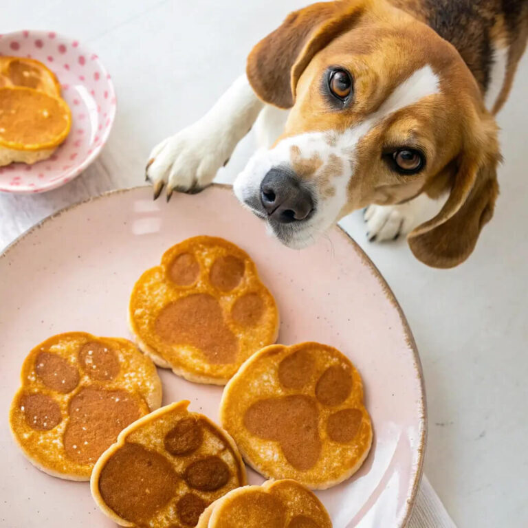 Air-Fried Turkey, Pumpkin & Coconut Oil Pancakes For Dogs