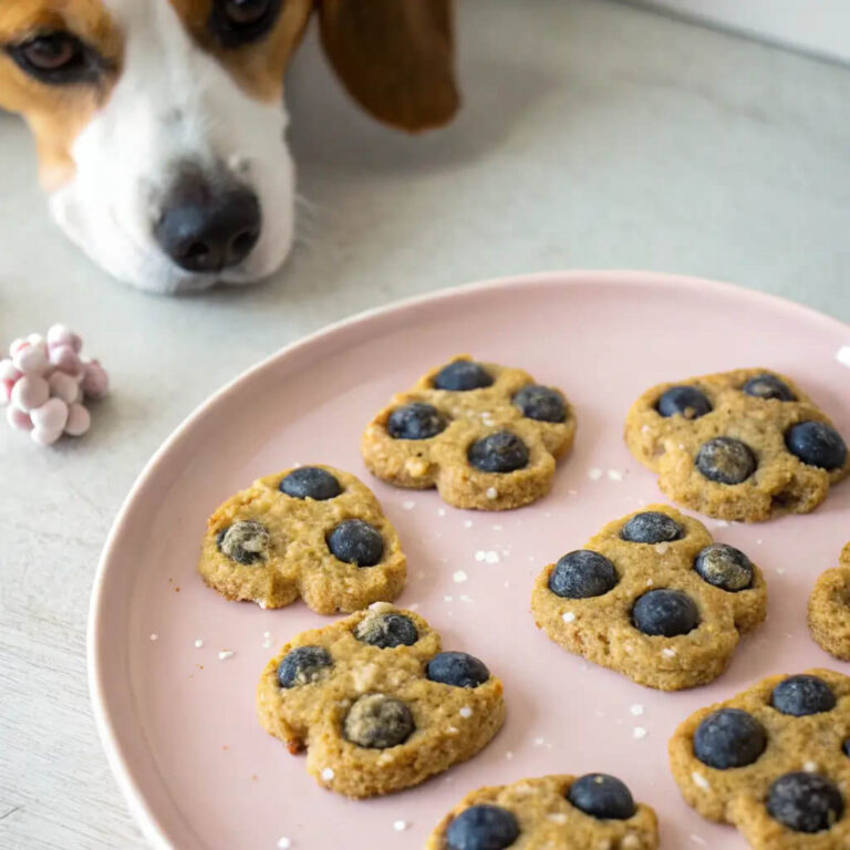 Baked Egg, Blueberry & Kefir Crunchies For Dogs