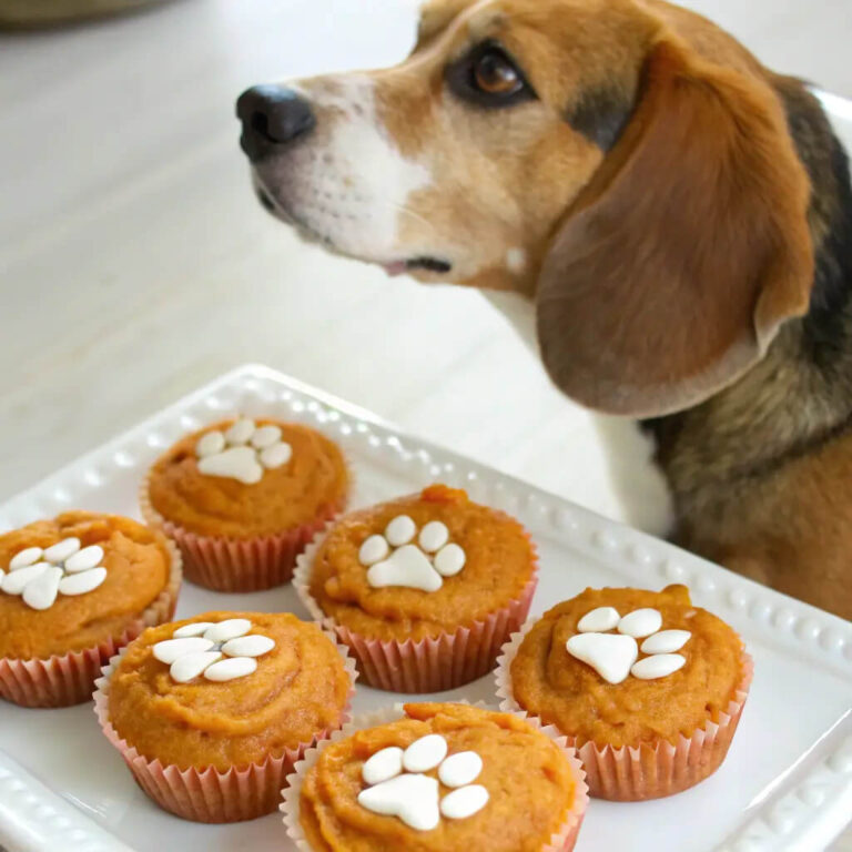 Baked Salmon, Sweet Potato & Peanut Butter Pupcakes For Dogs
