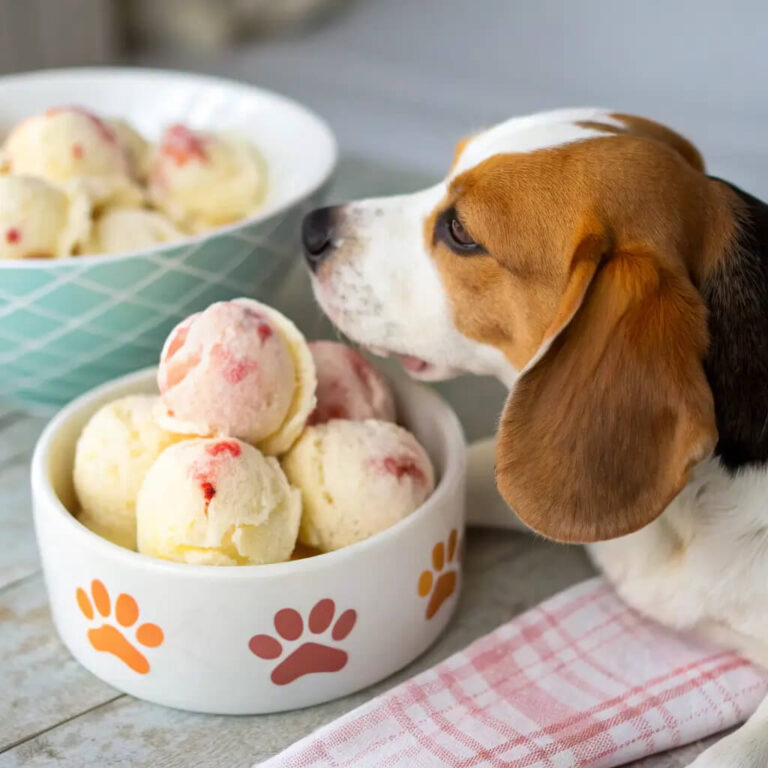 Dehydrated Beef, Apple & Yogurt Ice Cream For Dogs