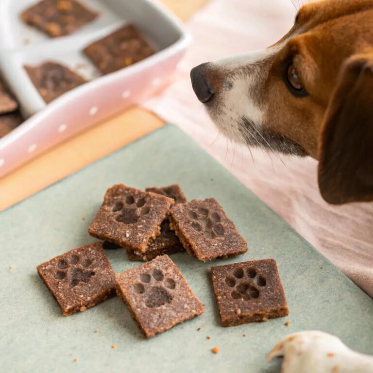 Dehydrated Venison, Quinoa & Yogurt Jerky For Dogs