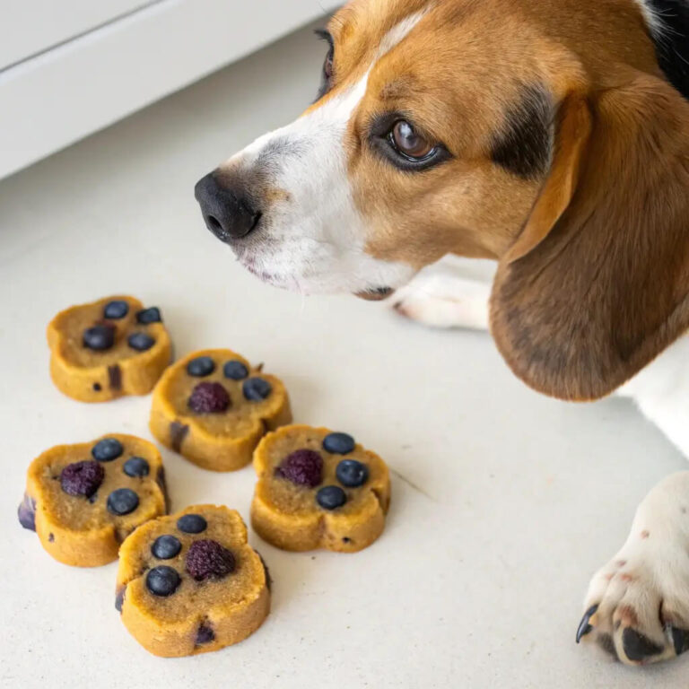 Diy Beef, Blueberry & Cheddar Soft Chews For Dogs