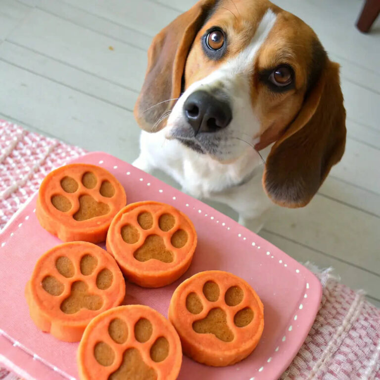 Diy Beef, Carrot & Peanut Butter Treats For Dogs
