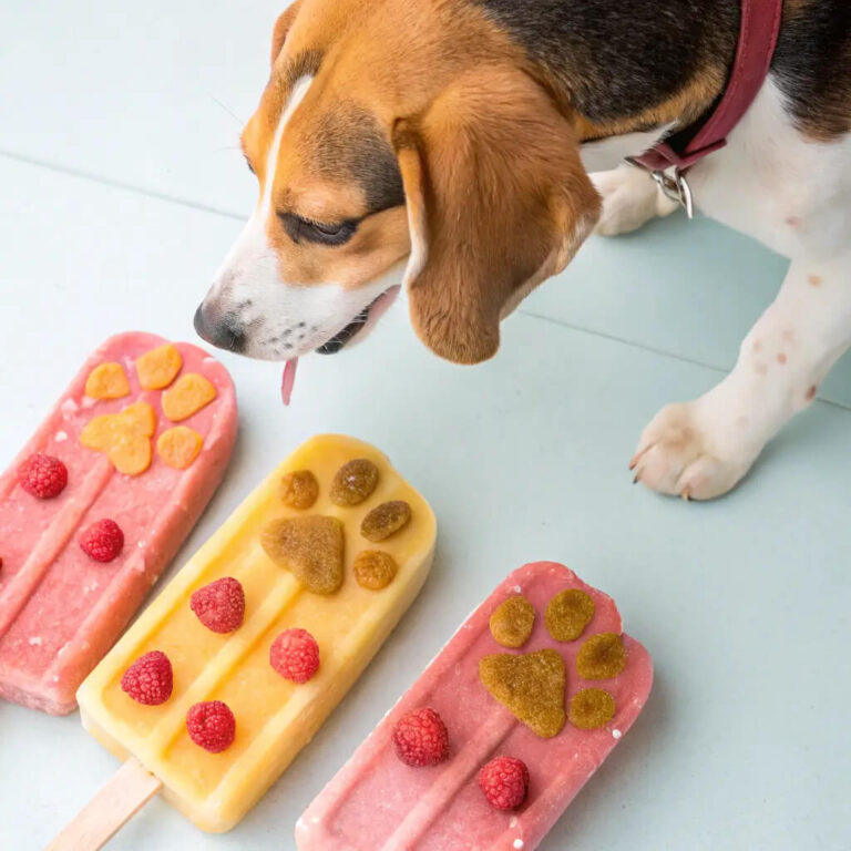 Diy Duck, Oat & Chia Seed Popsicles For Dogs