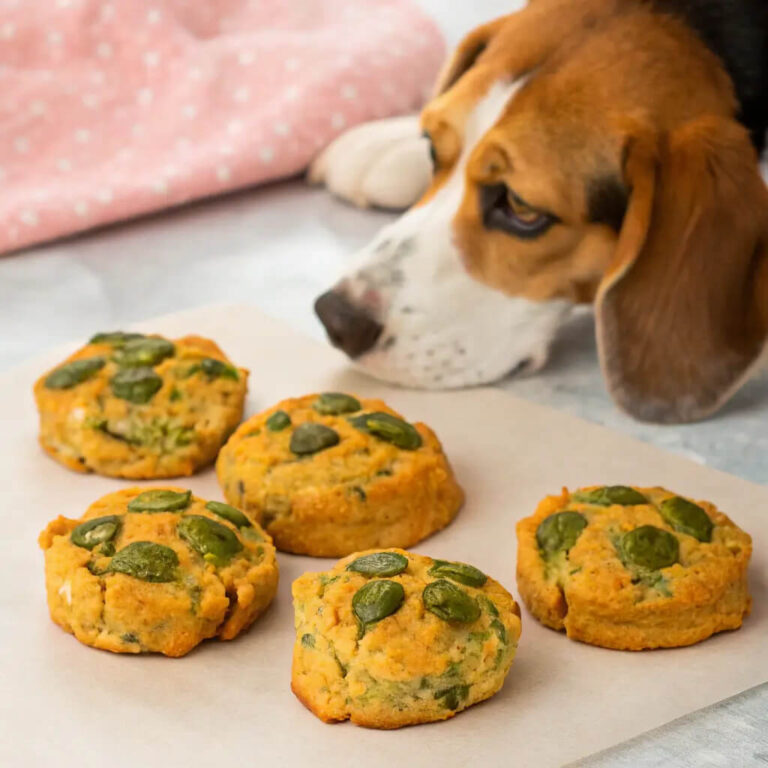 Diy Sardine, Sweet Potato & Spinach Scones For Dogs