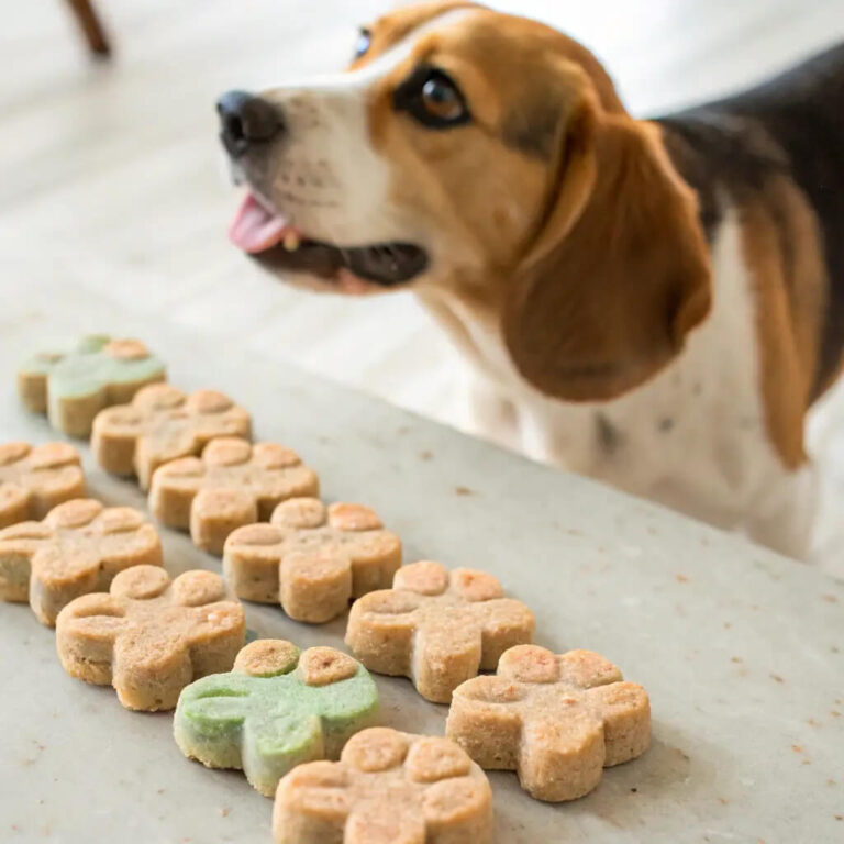Diy Turkey, Oat & Yogurt Treats For Dogs
