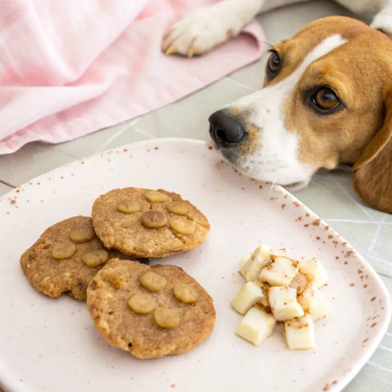 Homemade Chicken, Apple & Flaxseed Pancakes For Dogs