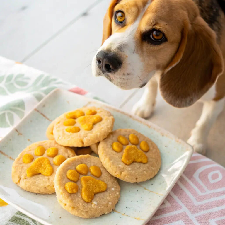 Homemade Egg, Rice & Cheddar Cookies For Dogs