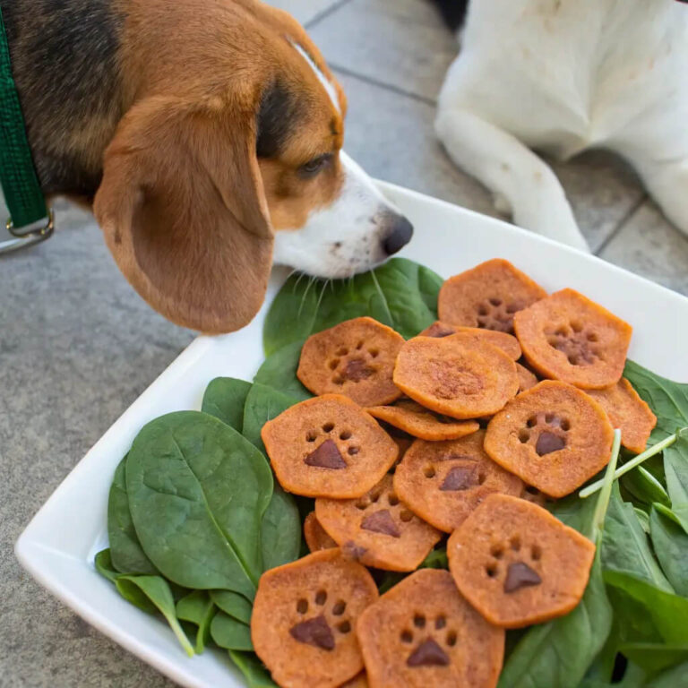 Homemade Salmon, Sweet Potato & Spinach Chips For Dogs