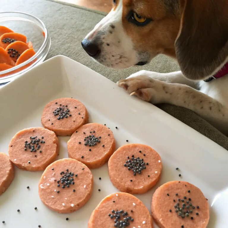 No-Bake Salmon, Carrot & Chia Seed Pancakes For Dogs