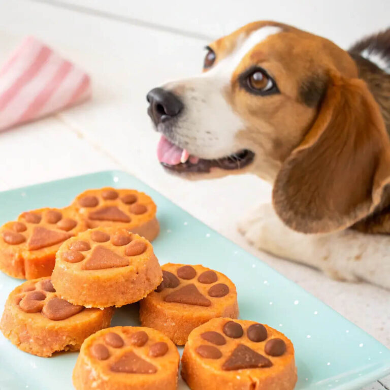 No-Bake Sardine, Sweet Potato & Peanut Butter Chips For Dogs