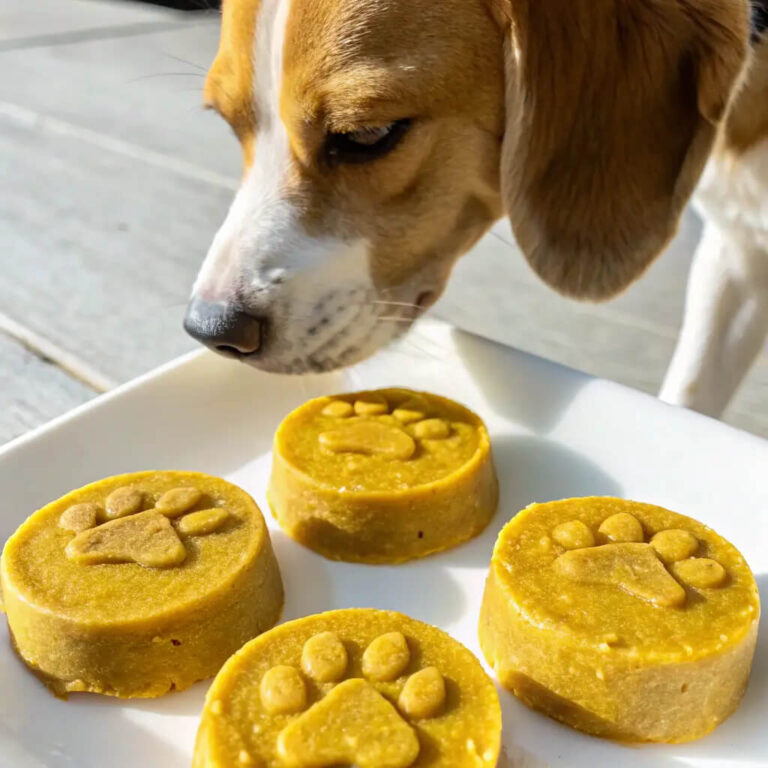 No-Bake Turkey, Banana & Turmeric Pâté For Dogs