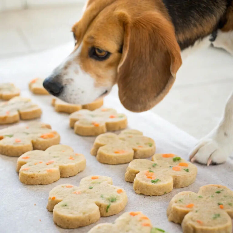 Apple & Carrot Vitamin Dog Biscuits