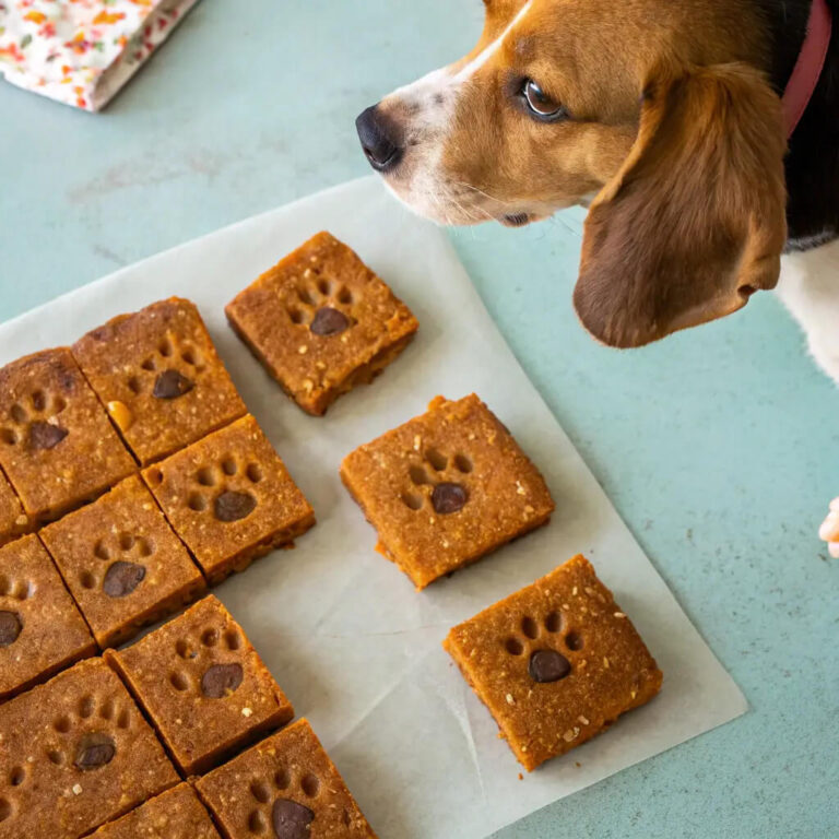 Beef & Sweet Potato Power Bars