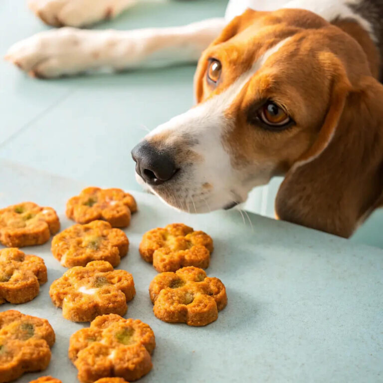 Carrot & Cheese Crunchy Dog Snacks