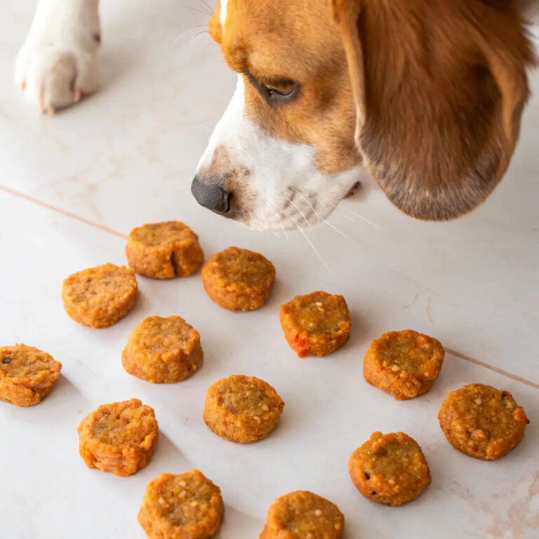 Carrot & Quinoa Protein Dog Bites
