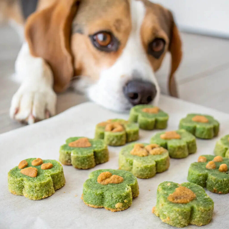 Cheesy Broccoli Dog Bites for Picky Eaters