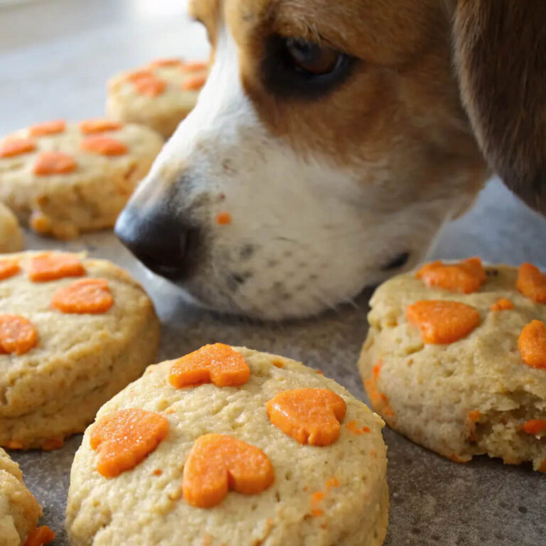 Cheesy Carrot Dog Scones