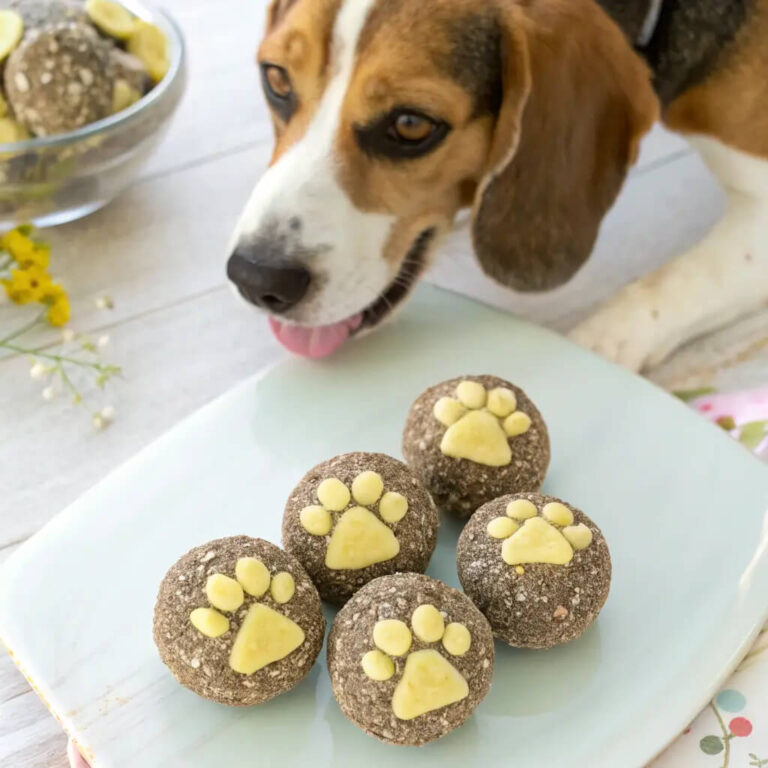 Chia Seed & Banana Energy Dog Balls