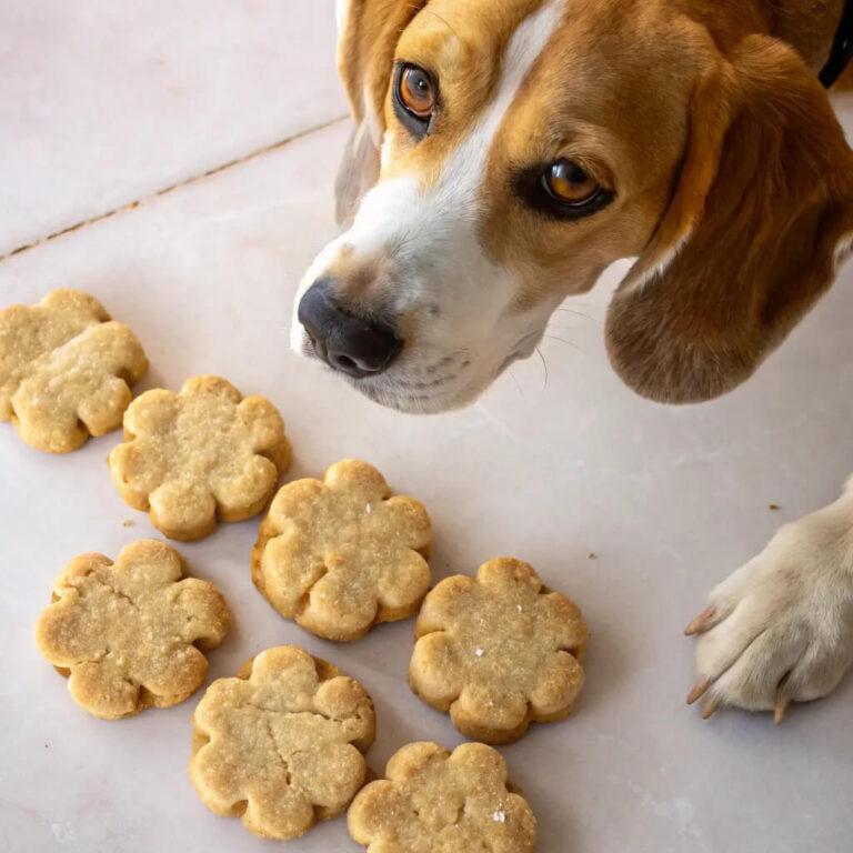 Chicken & Cauliflower Light Dog Biscuits