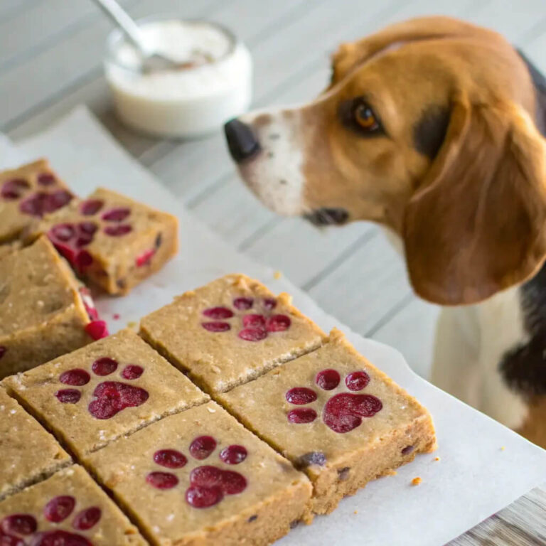 Chicken & Cranberry Festive Dog Bars
