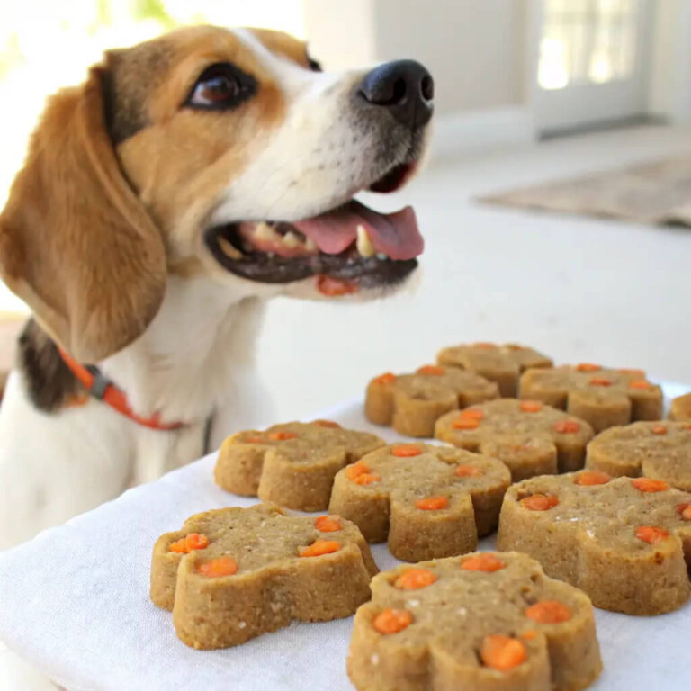 Ginger & Carrot Dog Wellness Treats