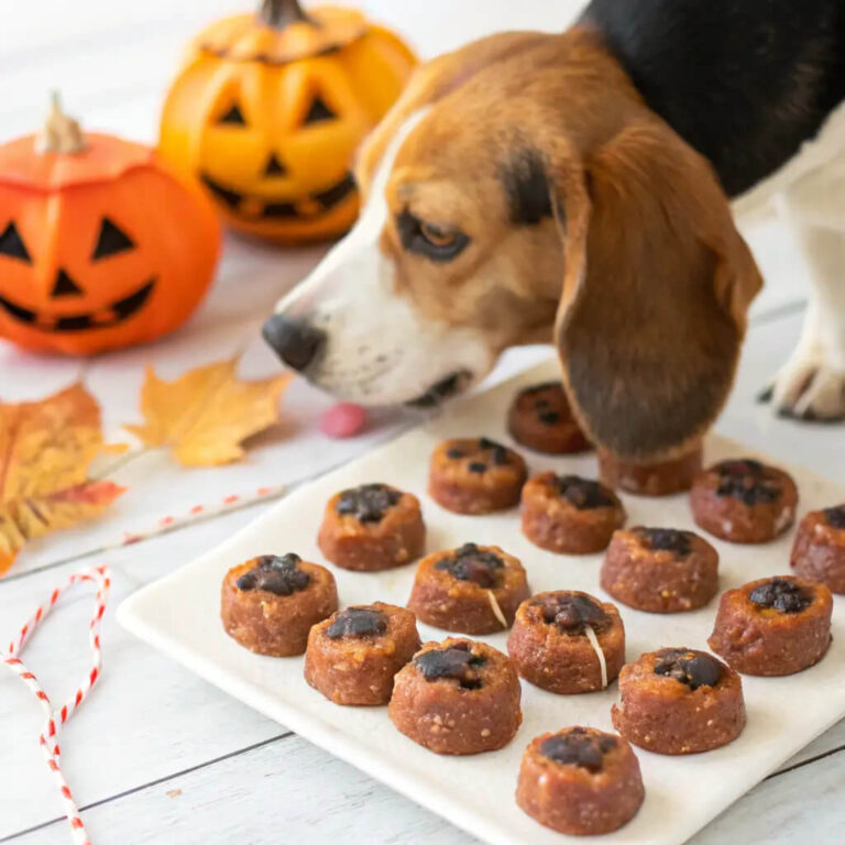 Haunted Howl-o-Ween Meatball Dog Treats