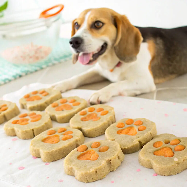 Lentil & Carrot Dog Biscuits for Extra Protein