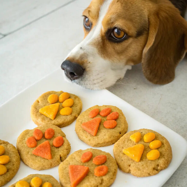 Mango & Carrot Crunchy Dog Cookies