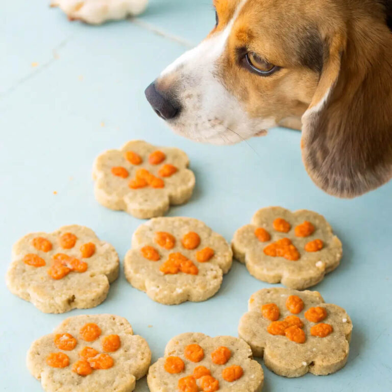 Orange Zest & Oatmeal Morning Dog Treats