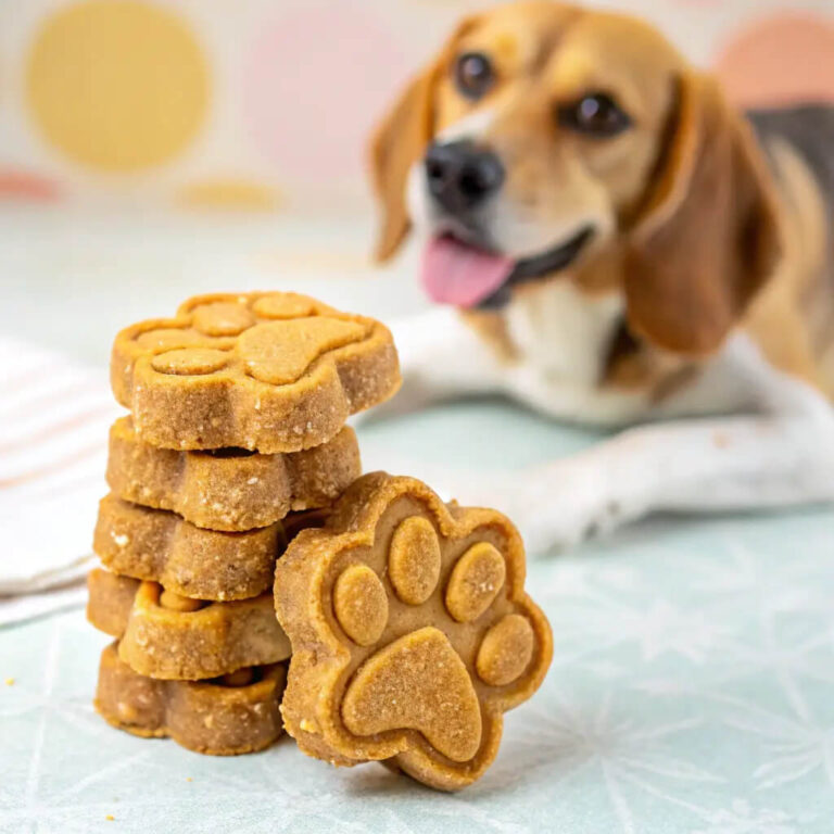 Pear & Peanut Butter Autumn Dog Biscuits