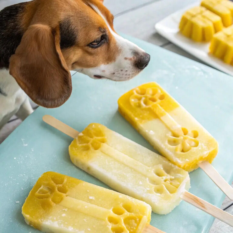 Pineapple & Banana Summer Dog Popsicles
