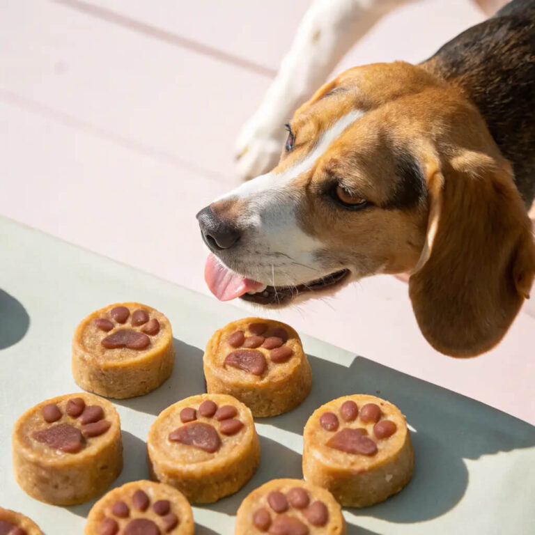 Pork & Apple Dog Sausage Snacks