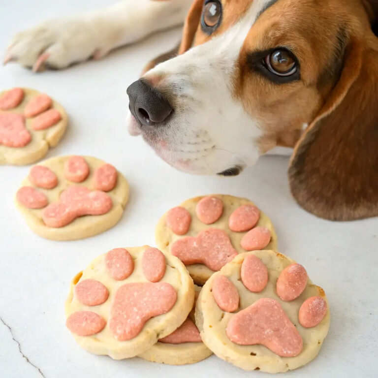 Salmon & Potato Dinner Dog Cookies