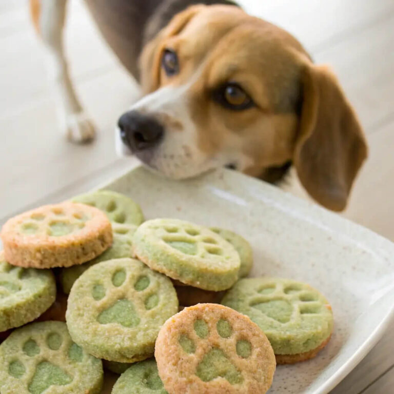 Sardine & Oat Healthy Dog Snacks